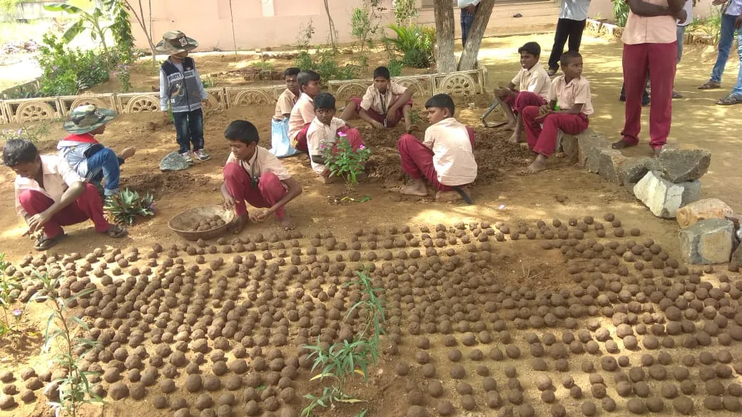 government school